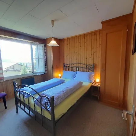 Cozy Chalet By Interlaken Parking * Ringgenberg
